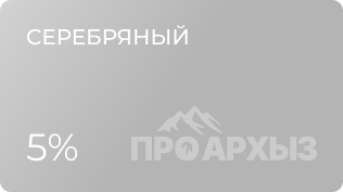 SILVER status